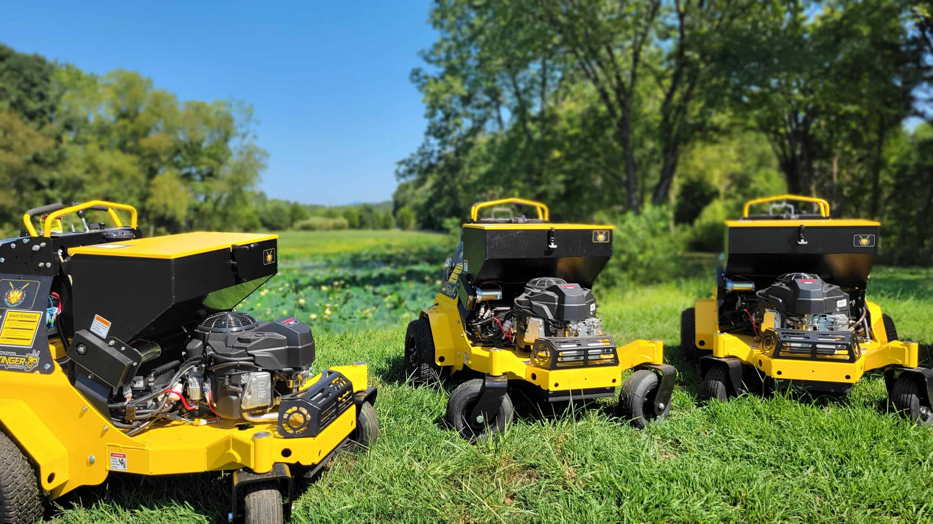 Soil plugs after core aeration