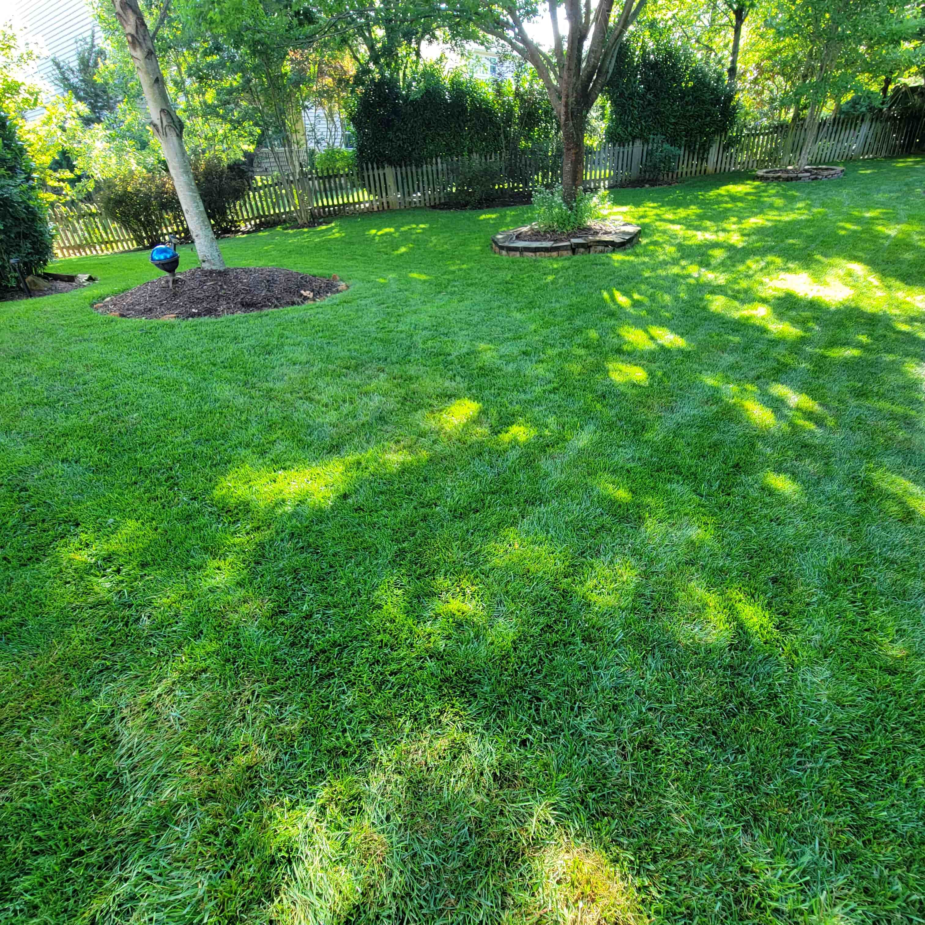 A healthy fall lawn