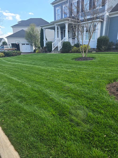 Regular fertilization improves the color, density, and overall appearance of your lawn