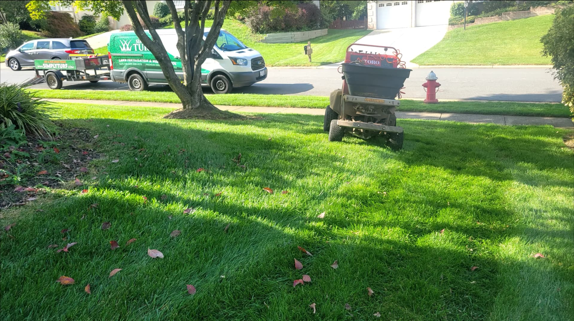 Green front yard in Northern Virginia