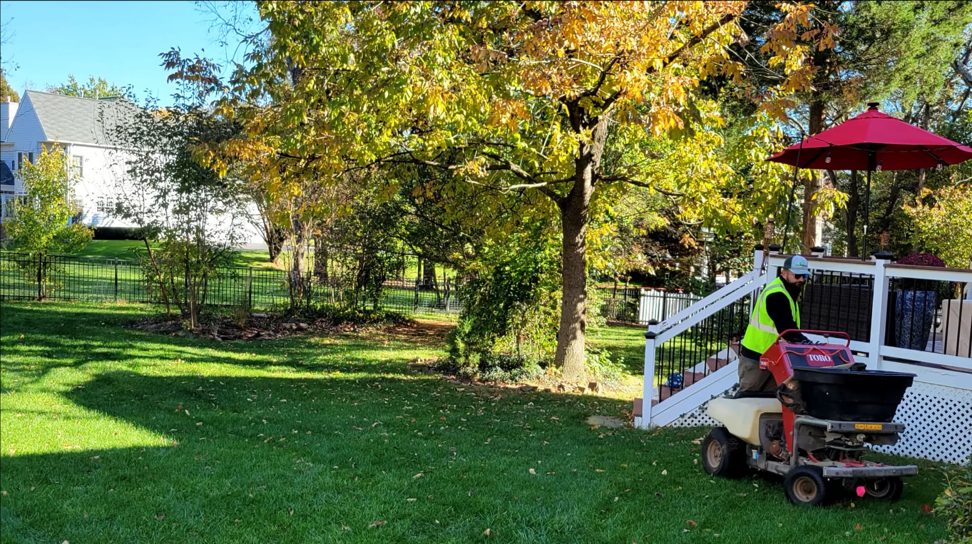 Well-maintained residential lawn